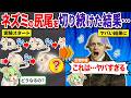 ネズミの尻尾を何世代も切り続けると…