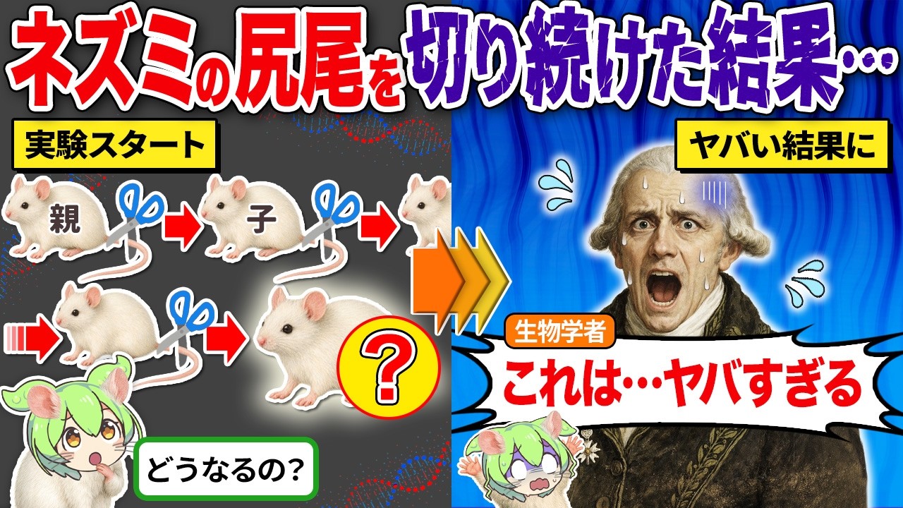 ネズミの尻尾を何世代も切り続けると…