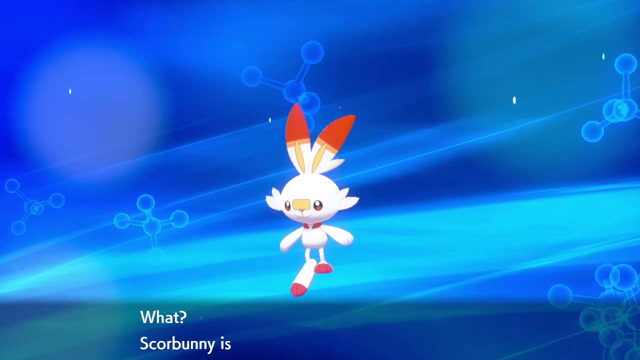 Scorbunny Evolving into Raboot (Pokemon Sword) YouTube