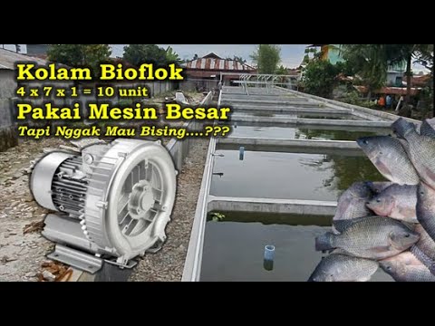 Video: Batu beton aerasi: teknologi, peralatan, konsumsi lem