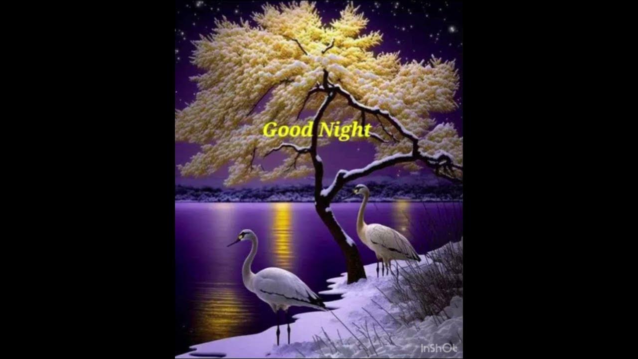 Good night songs youtube