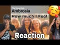 WOW THESE GUYS HAVE SOULFUL VOICES!!!! AMBROSIA - HOW MUCH I FEEL (REACTION)
