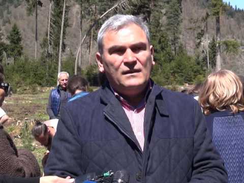 \"IDS ბორჯომი საქართველოს\" ინიციატივით ბორჯომში 1000 ძირი ხე დაირგო