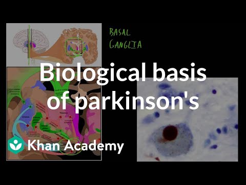 Video: Biologiske Nettverk Ved Parkinsons Sykdom: Et Innblikk I De Epigenetiske Mekanismene Assosiert Med Denne Sykdommen