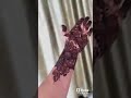 😱new mehndi design😍beautiful henna design🤩#mehndi#trending#YouTube shorts