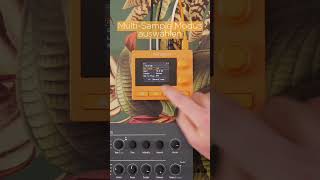 1010music nanobox tangerine multisamples #shorts #tomeso