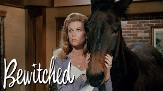 Every Season 5 Intro Scene | Bewitched