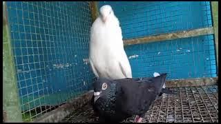 Available 😍😍📞6238487990