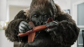 Gorilla Glue 1 TVC 15second 2022