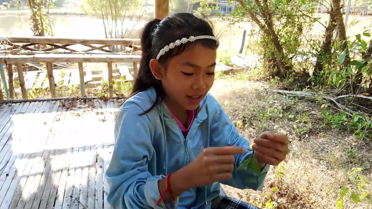 ธิดาลาวพาเลาะป่าเห็ดเผิ่ง