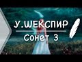 У. Шекспир - Сонет 3. Подумай, в зеркале увидев образ свой (Стих и Я)