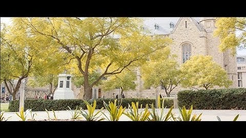 Sustainability on Campus