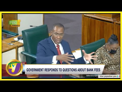 Gov't Responds to Questions About Bank Fees | TVJ Business Day - June 28 2022