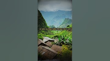 Bài học cuộc sống - triết lý cổ nhân  #baihoccuocsong #trietlycuocsonghaynhat #trietlysong