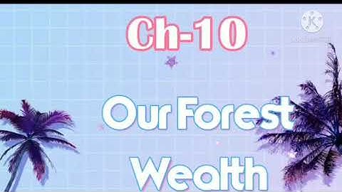 Class 4 Social Studies