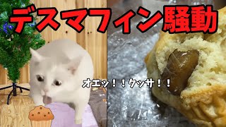 猫ミームでわかるデスマフィン騒動#猫マニ #猫ミーム