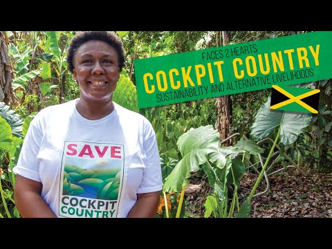 Faces2Hearts in JAMAICA: