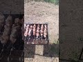 шашлыка много не бывает