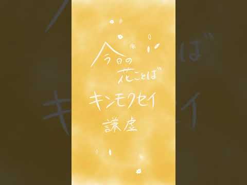 キンモクセイ「謙虚」｜朝に届くやさしい花ことば