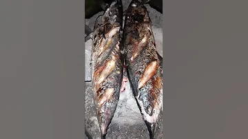 Good Evening Po Mga Guys Isda Gisugba 2025 February 17 