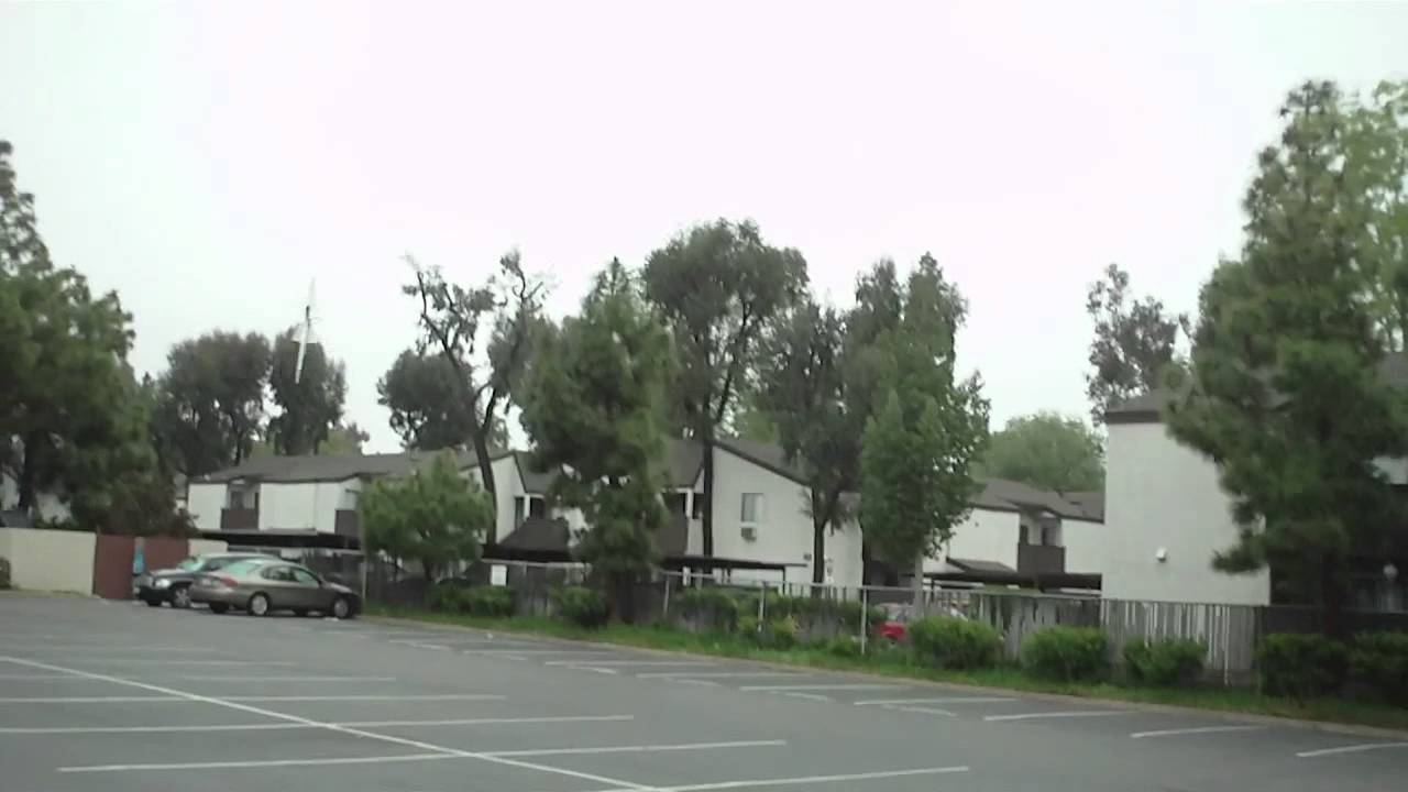 EPP Eagle Flight Video # 1