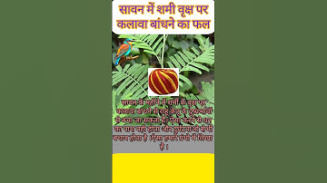 # Shorts# सावन में शमी वृक्ष में कलावा बांधने का फल# katha# ram# ramram# shriram#hanuma #hanuman ji
