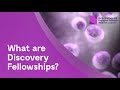 What are BBSRC Discovery Fellowships?