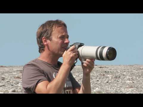 ბუნების კანონი -აჭარის მთავრობის ზურმუხტი