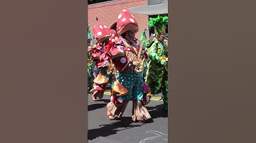 Thumbnail of Quaker City String Band #parade #mummers #band