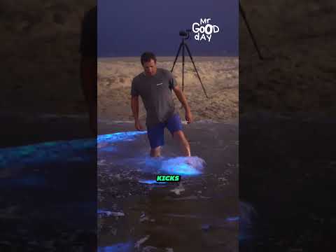 Bioluminescence: Nature’s Ocean Light Show #shorts