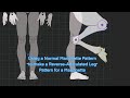 Creating a Reverse-Articulated Leg Pattern for Marionettes