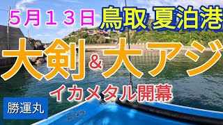 【2024.5.13】勝運丸 鳥取 夏泊港！「釣らせたい!!」がモットーのイカ釣り船で楽しんだ！