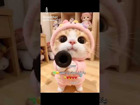 سريع اكسبلور الاشتراك في القناة وتفعيل الجرس لايك