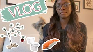 Vlog - Puppy Potty Training Update , New Hair, Christmas Decor