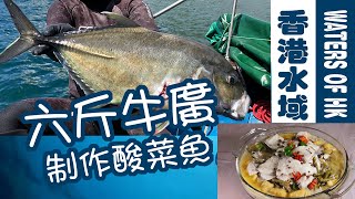 【漁人推介】香港水域帶係落海捉牛廣，教你煮酸菜魚 ... 