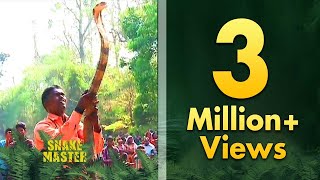 Vava Suresh caught a long King Cobra from a tree | SNAKE MASTER - EPISODE-39 - KAUMUDY TV