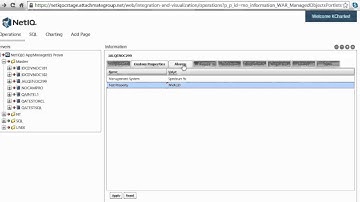 NetIQ Operations Center - The Information Portlet: A Summarized View of Info and Data - Tutorial
