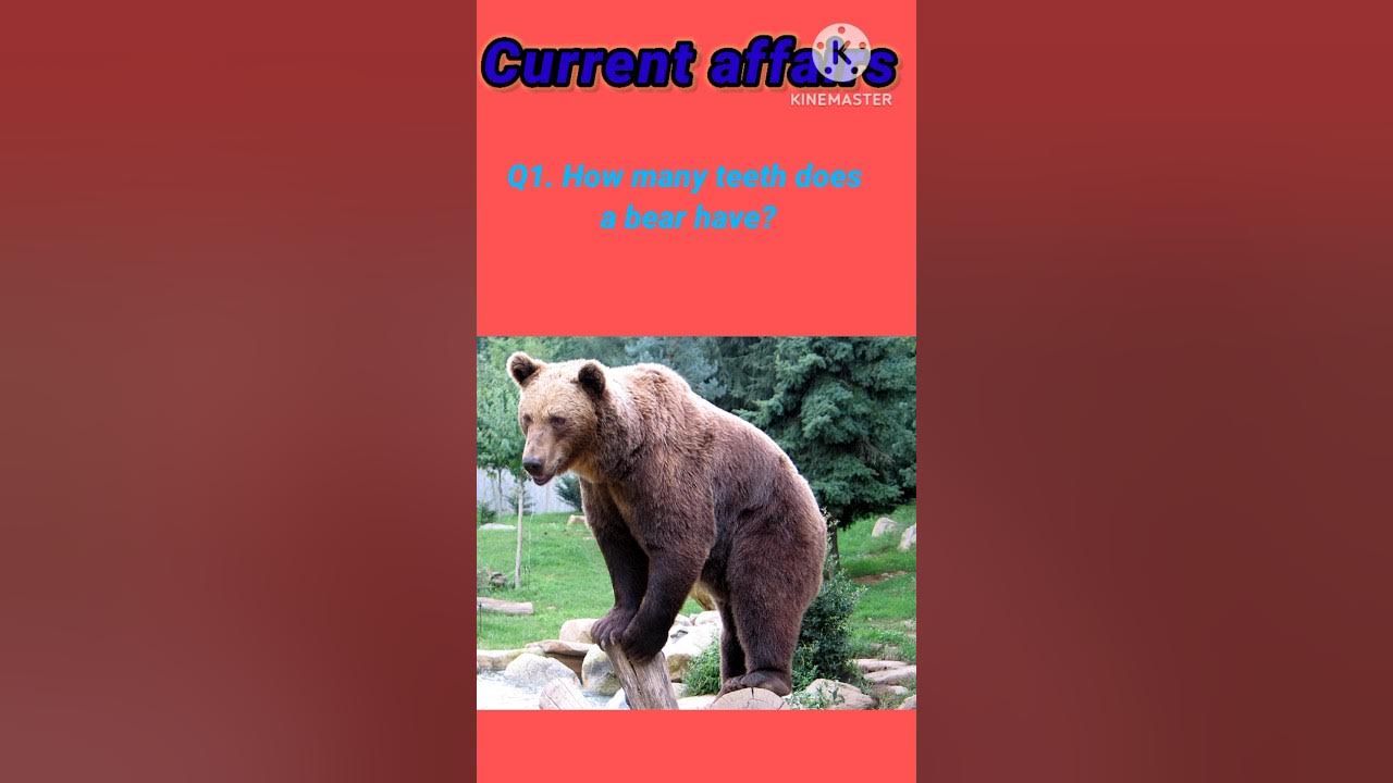 current-affairs-today-in-english-youtube