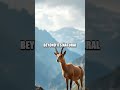 The Enigmatic Beauty of the Dolomites