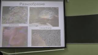 картинка: Зоология беспозвоночных. Лекция 2. Борисанова А.О.  edit