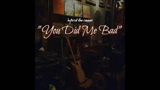 You Did Me Bad - Hybrid The Rapper