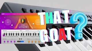 CAN UJAM BEATMAKER EDEN + EDM = RNB?