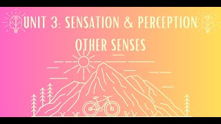 Unit 3 Other Senses Notes #4