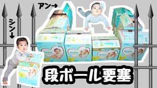 ★「段ボール要塞」ベビーサークル！★双子が閉じ込められた〜★