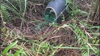 Pikat wak-wak terbaik 2021 #Minnah_6