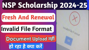 NSP Invalid File Format | Document Upload Problem | NSP 2024-25 Invalid File Format | Upload Problem
