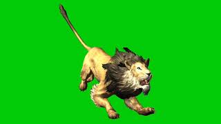 The Tiger Green Screen Effect.