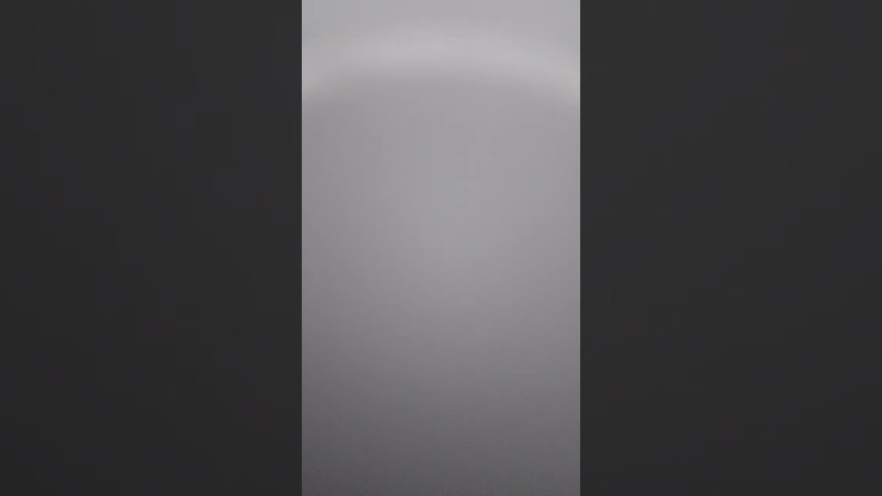 كيفاش تتعامل مع عصفور مريض