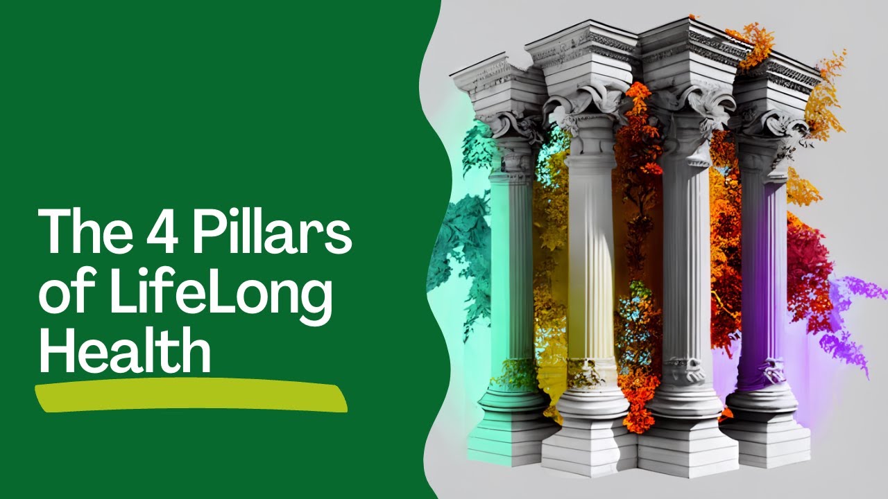 The 4 Pillars of Lifelong Health - YouTube