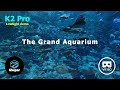 Immerse in the Grand Aquarium at the Ocean Park (VR180)